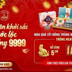 BannerDTHT-211228-12-1-255×255