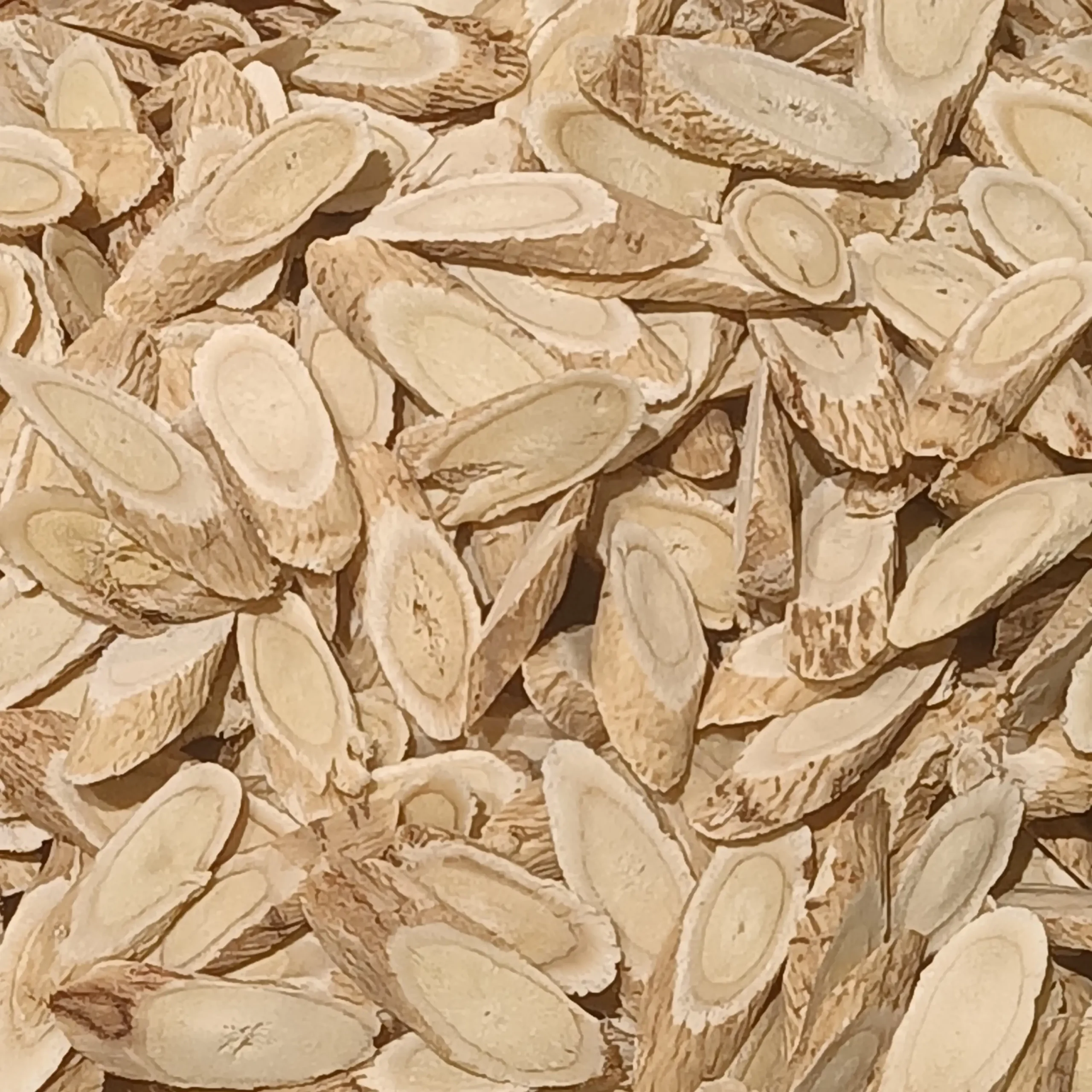 Lát rễ Hoàng kỳ Astragalus mongholicus đã làm khô, dạng dược liệu