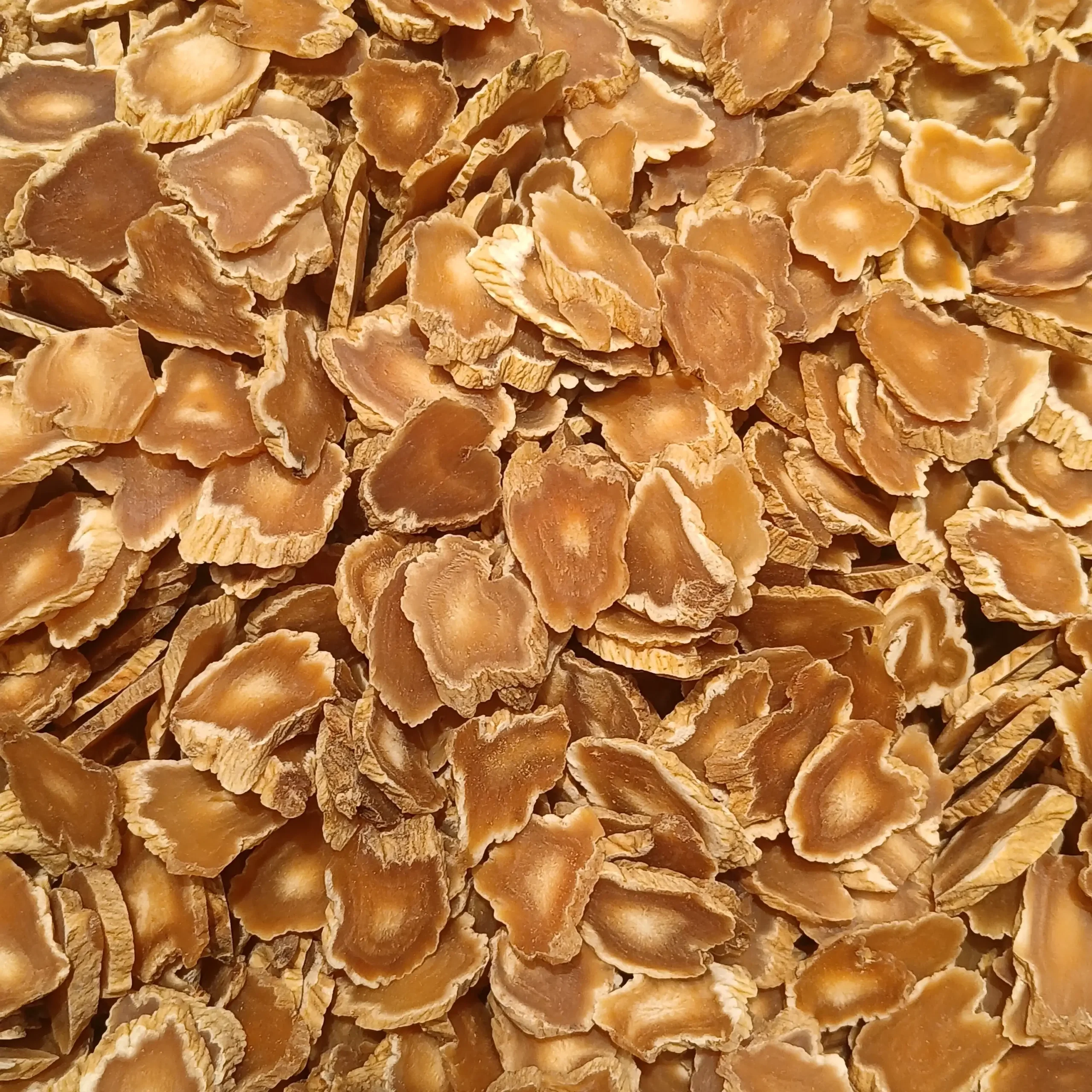 Lát Nhân sâm Panax ginseng khô từ vùng Trường Bạch