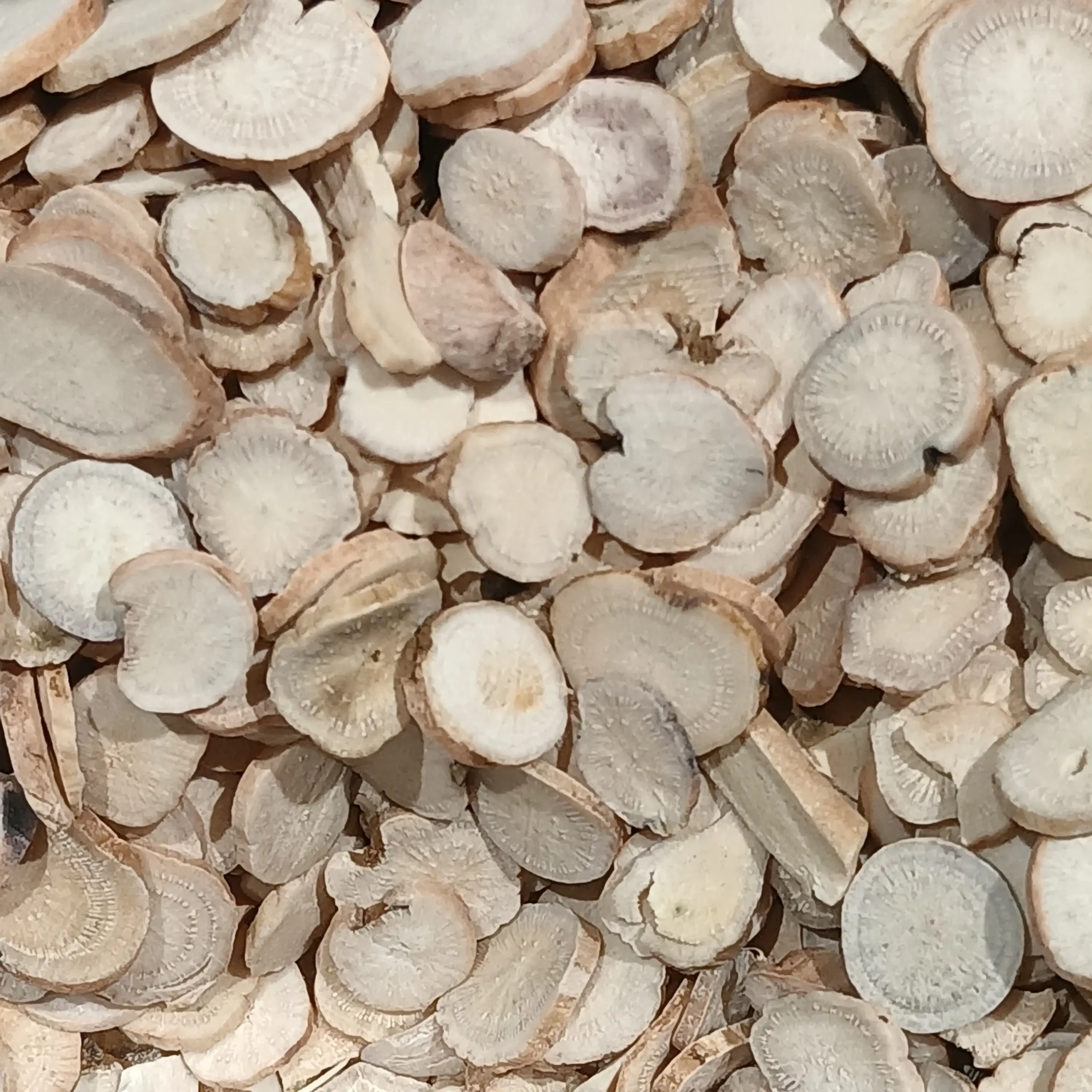 Lát rễ Bạch thược Paeoniae Radix Alba đã chế biến